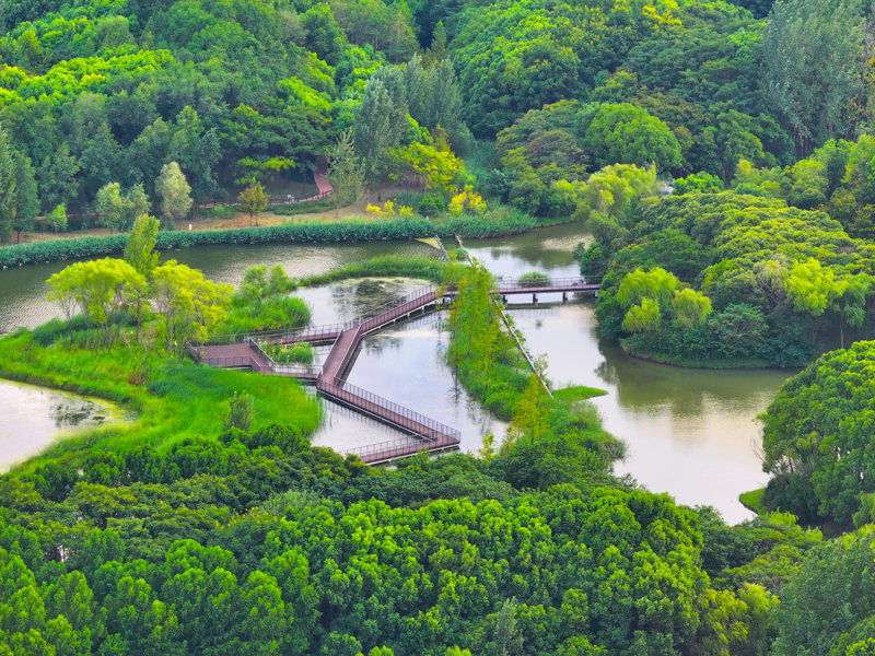 上海金海湖公园风景区图片