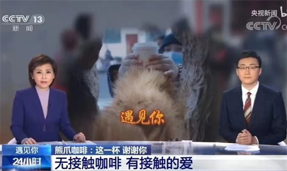 WDCM上传图片 WDCM上传图片