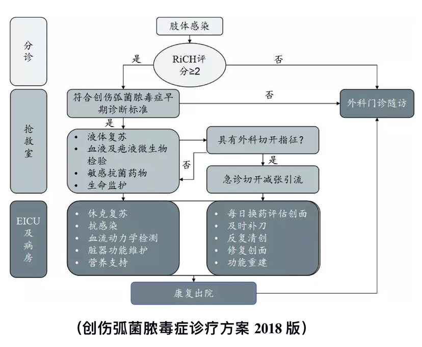 科普｜一根烧烤竹签惹的祸——陆地中的无声杀手