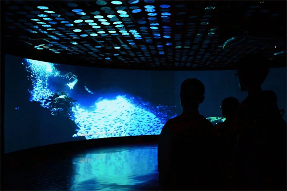 WDCM上传图片 WDCM上传图片