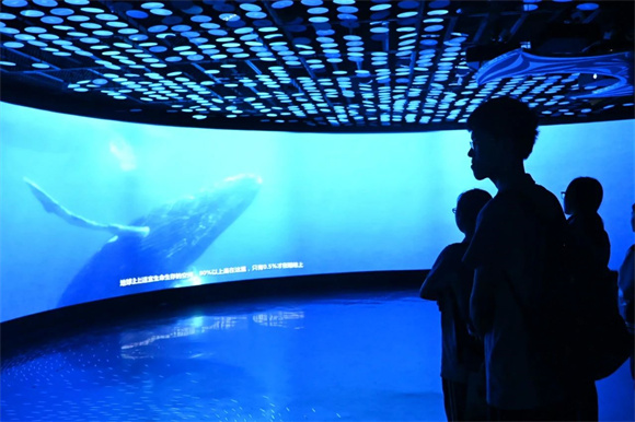 WDCM上传图片 WDCM上传图片