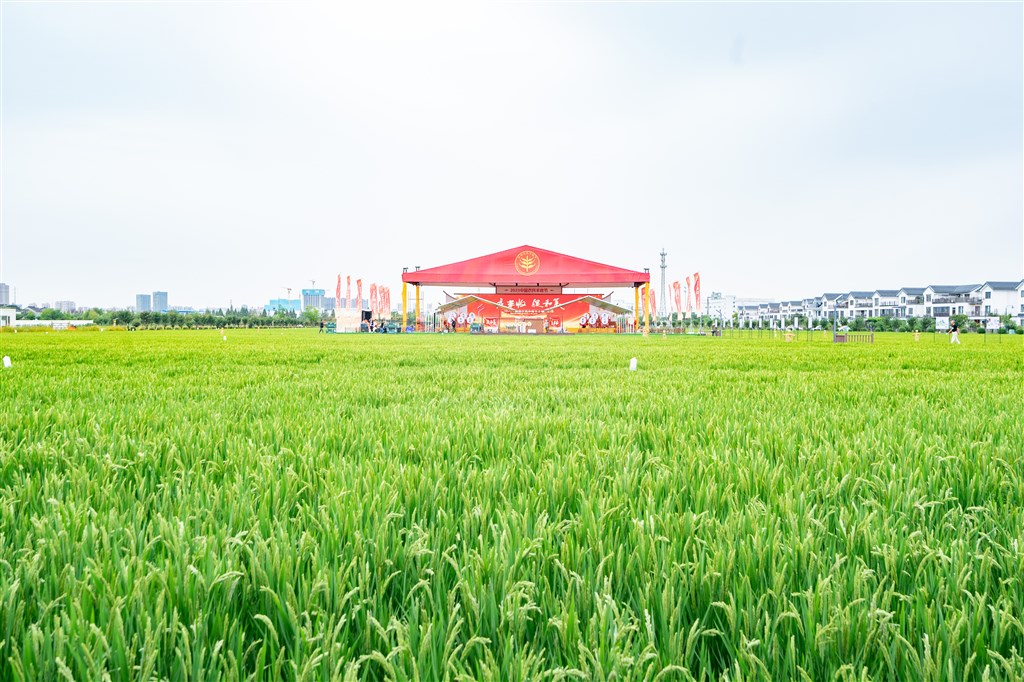 沪今年前8个月涉农项目投资到位资金174亿元 呈良好增长态势