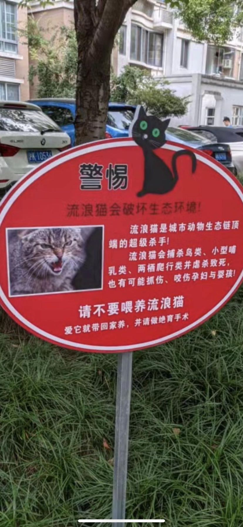 流浪猫狗文案图片