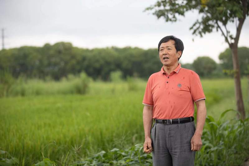 上海之歌| 上海竟有3100多行的叙事民歌？这位奉贤爷叔在自发传承