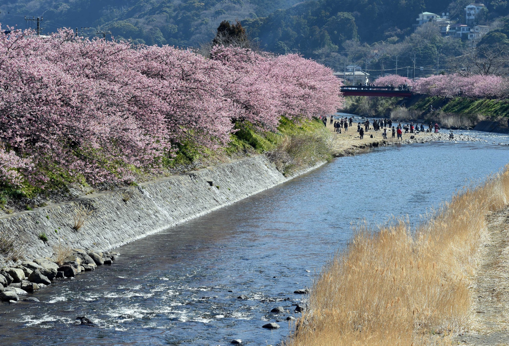 日本自卫队基地周边水体受污染静冈县启动调查