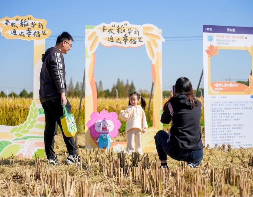 在诗意墟落青浦华新 有“稻”不绝的歉收喜悦