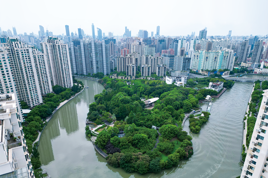 银杏翩跹邂逅申城限制“黄”  赴约美景乐享初冬慢韶光