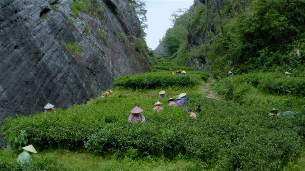 记载片《武夷山·咱们的国度公园》行将开播，绝显山川人文之美