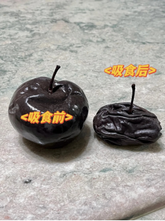 “南方小土豆”勇闯哈尔滨，连冻梨都开始摆盘了？