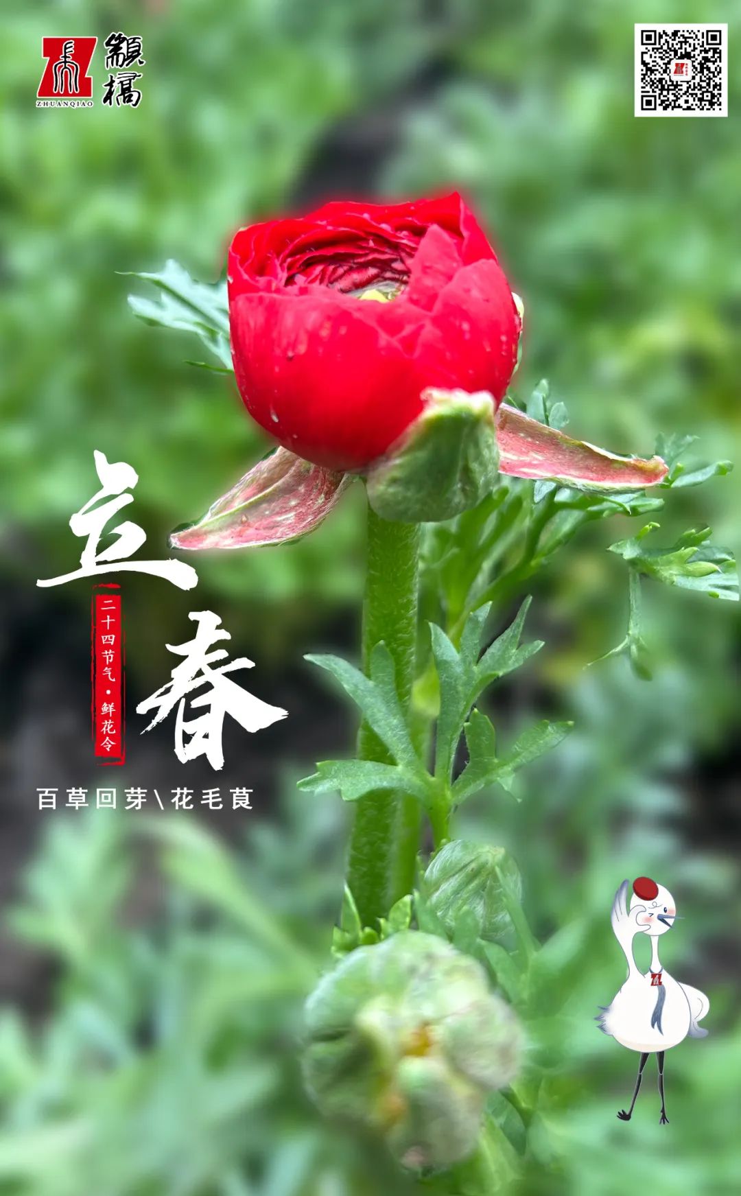 立春 百草回芽