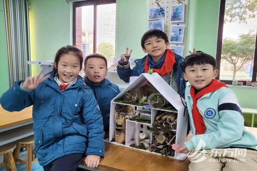 徐汇区西位实验小学《萌虫旅社》