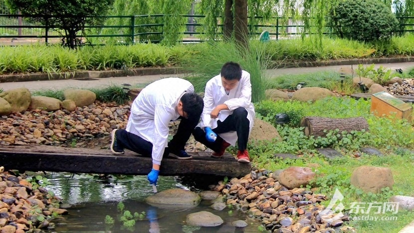 曹杨中学同学在校内人工湿地进行科学研究