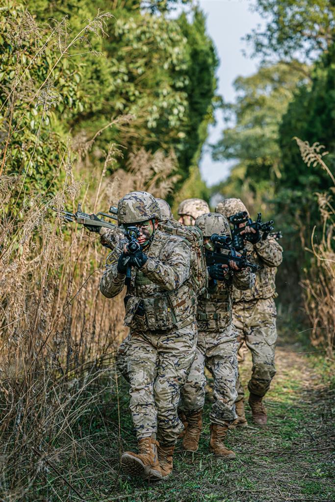 图片说明:丛林地协同作战