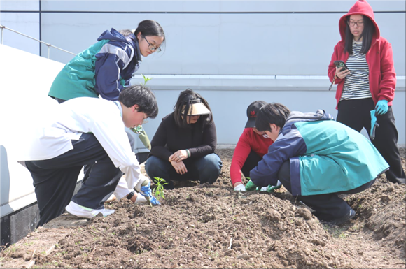 WDCM上传图片 WDCM上传图片