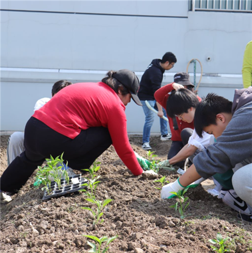 WDCM上传图片 WDCM上传图片