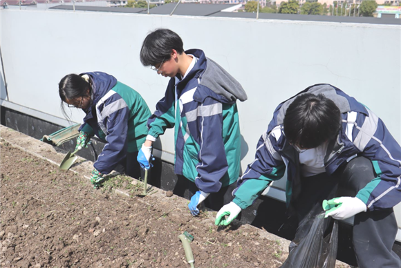 WDCM上传图片 WDCM上传图片