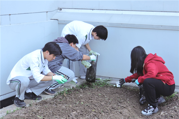 WDCM上传图片 WDCM上传图片