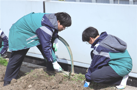 WDCM上传图片 WDCM上传图片