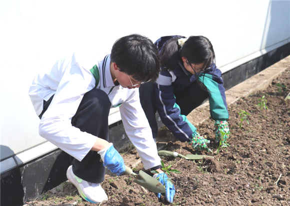 WDCM上传图片 WDCM上传图片