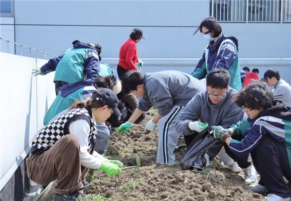 WDCM上传图片 WDCM上传图片