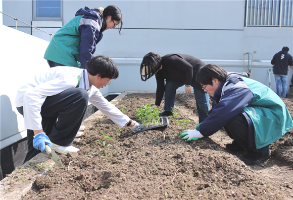 WDCM上传图片 WDCM上传图片