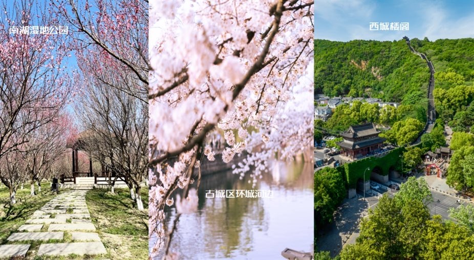 在上海黄浦江干收回春日之约 常熟邀你望美景，品美食，还想留你住上去