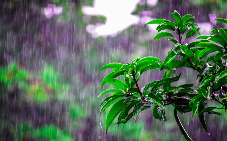 近期雨要下到什么时候?为何一到清明就容易下雨?