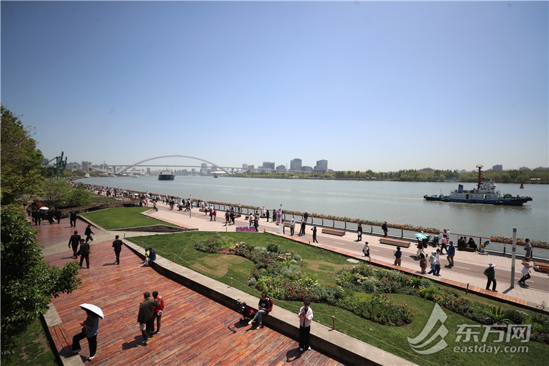 2024上海（国际）花开展幕，徐汇滨江繁花似锦美出新高度