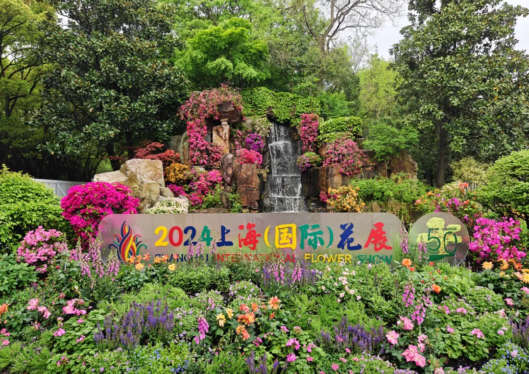 上海一周区情：足不出沪带你玩转五一 春以及景明共赴花海盛宴