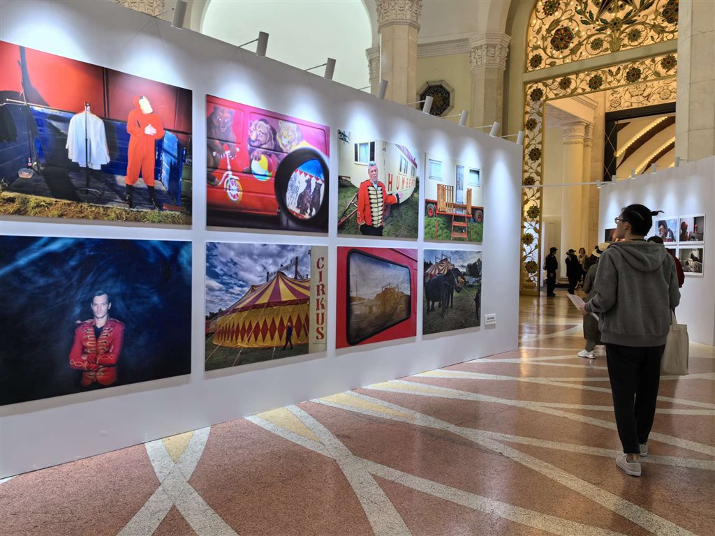 千余件影像佳作表态 第九届影像上海艺术展览会举办