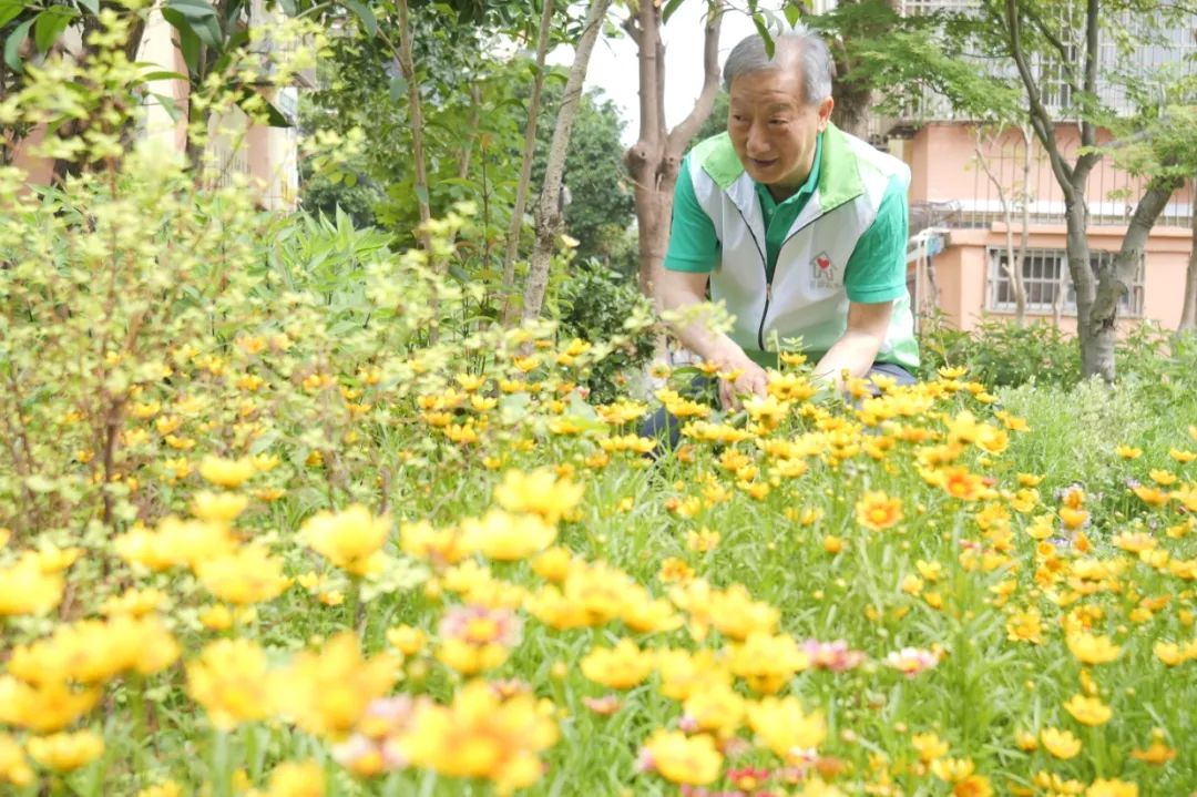 B体育官方网站上海一周区情：街区焕新点亮居民幸福感 赏景出游乐享夏日好辰光(图1)