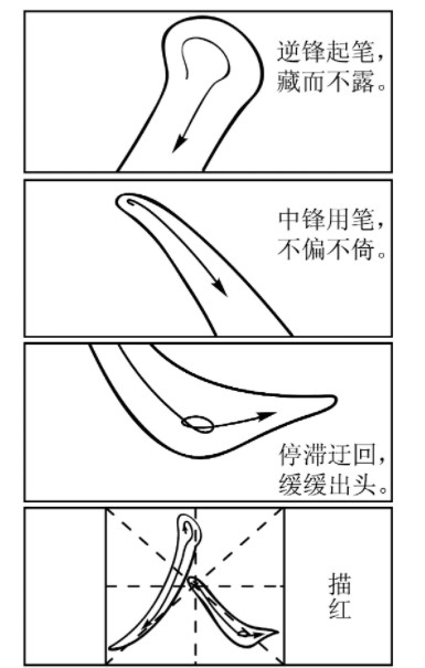 d346ed418834eff4006e02bf4b66b04a.jpeg