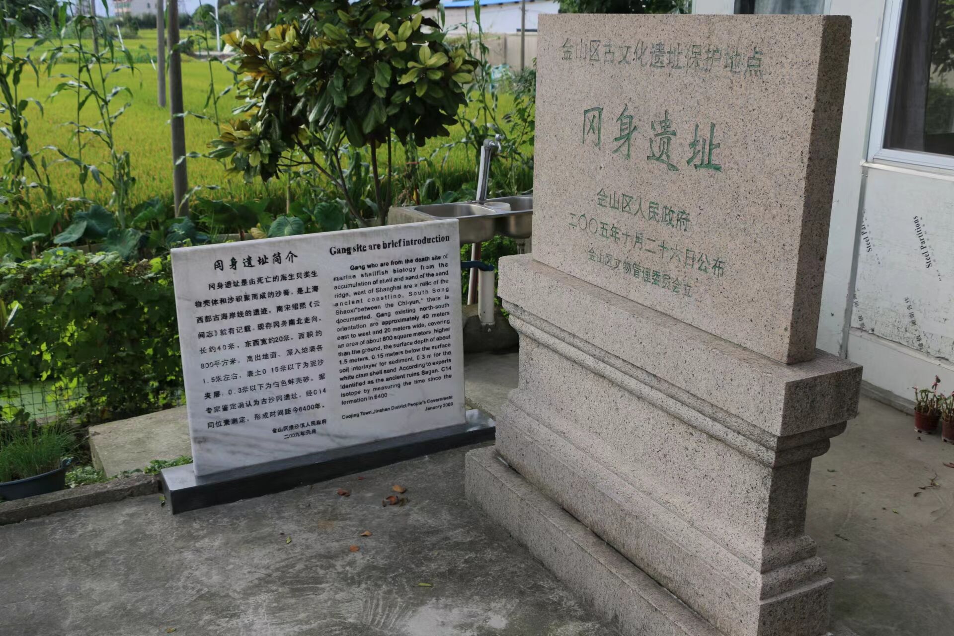 上海高空仅存的冈身遗迹在哪？来金山这里望古海岸线汗青变迁什物见证