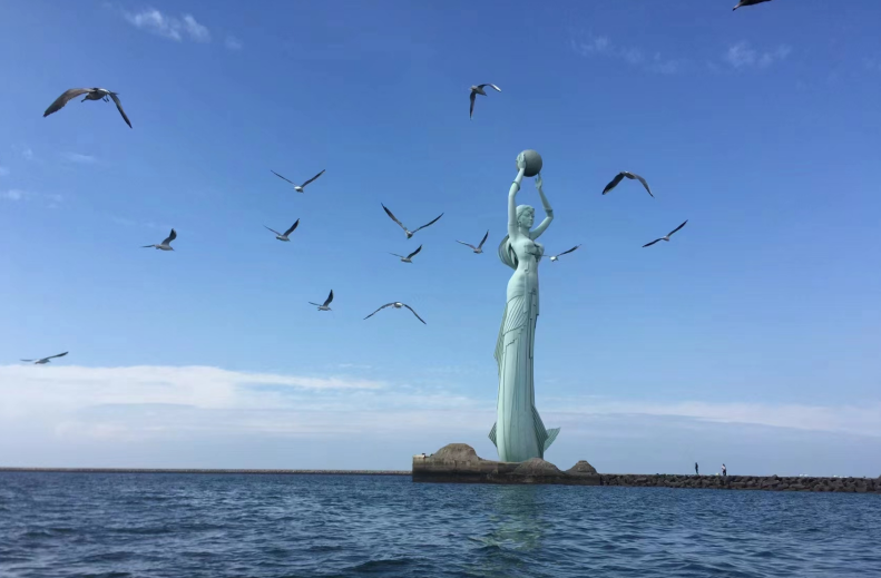 海洋科普|“海洋猎豹”如何成为胶东半岛的宝藏美食? 海洋科普|“海洋猎豹”如何成为胶东半岛的宝藏美食?