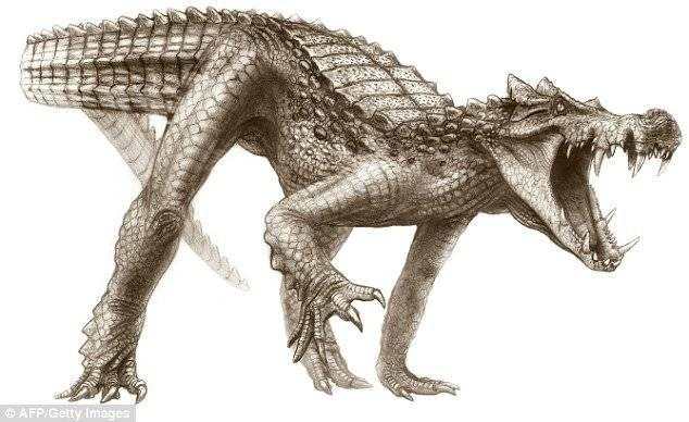 野猪鳄:长着野猪獠牙的白垩纪鳄鱼