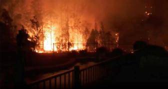 山火未灭暴雨又至！澳两大世界遗产林区过半已被毁