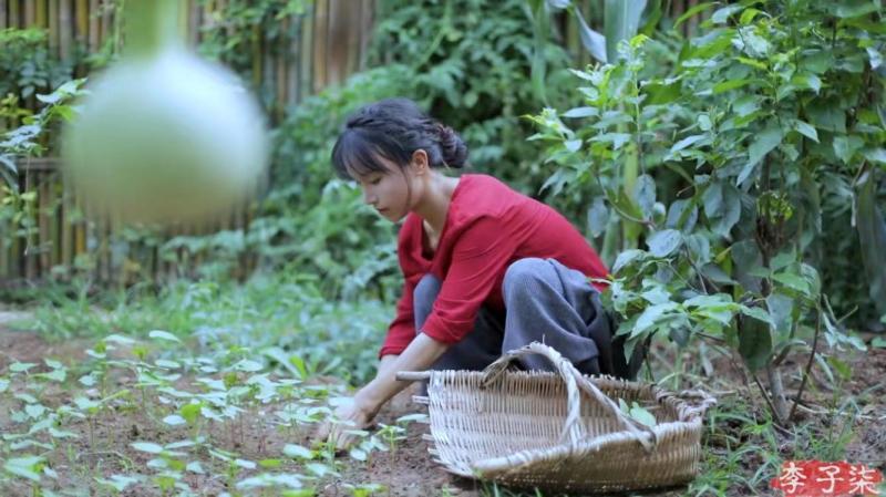 《日食记》导演姜老刀:很欣慰,90后粉丝按我们的菜谱给孩子做好吃的