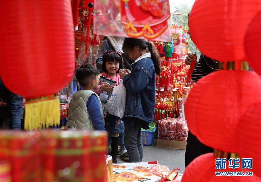 （国际）（3）越南民众迎新春