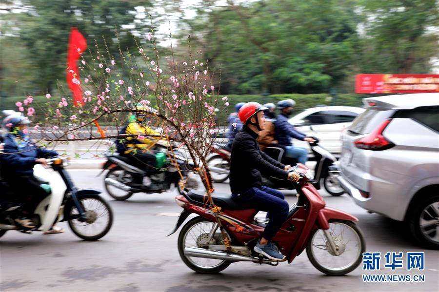 （国际）（4）越南民众迎新春