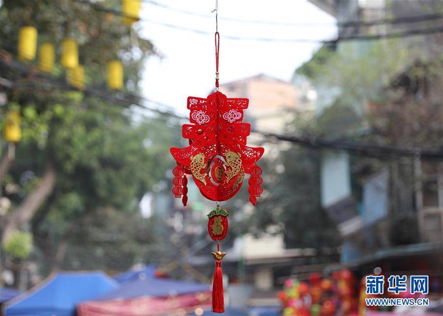（国际）（5）越南民众迎新春