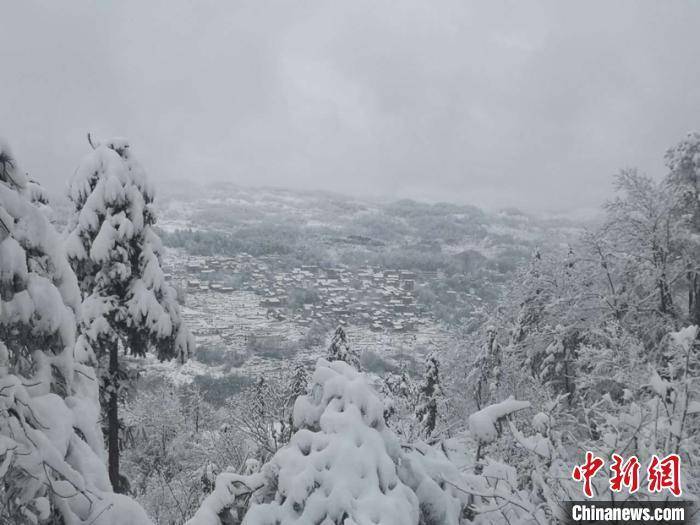 25日，贵州雪景。杨健 摄 