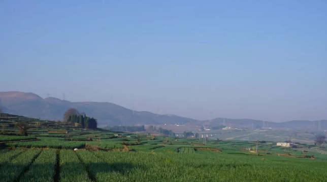 湖北疫情不仅牵动着全国人民的心,同样牵动着建水县面甸镇当地彝族