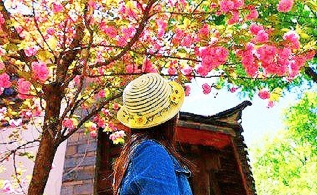 微信图片_20200214233002.jpg?x-oss-process=style/w10