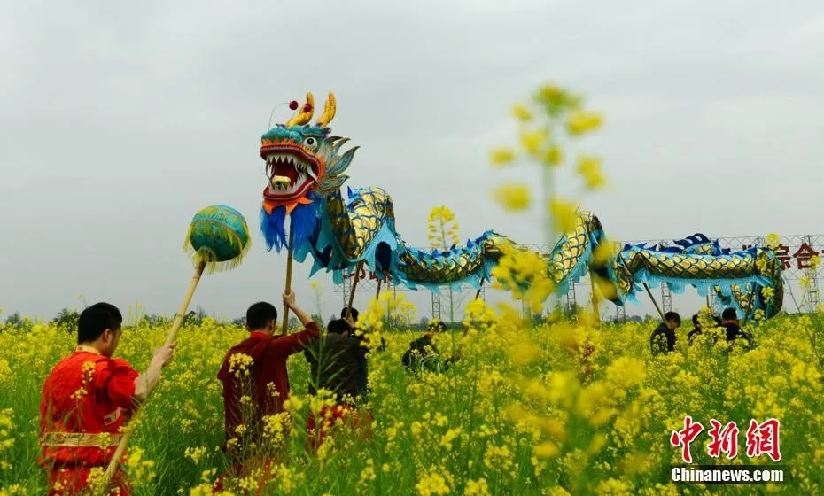 二月二，龙抬头！少出门，不扎堆！