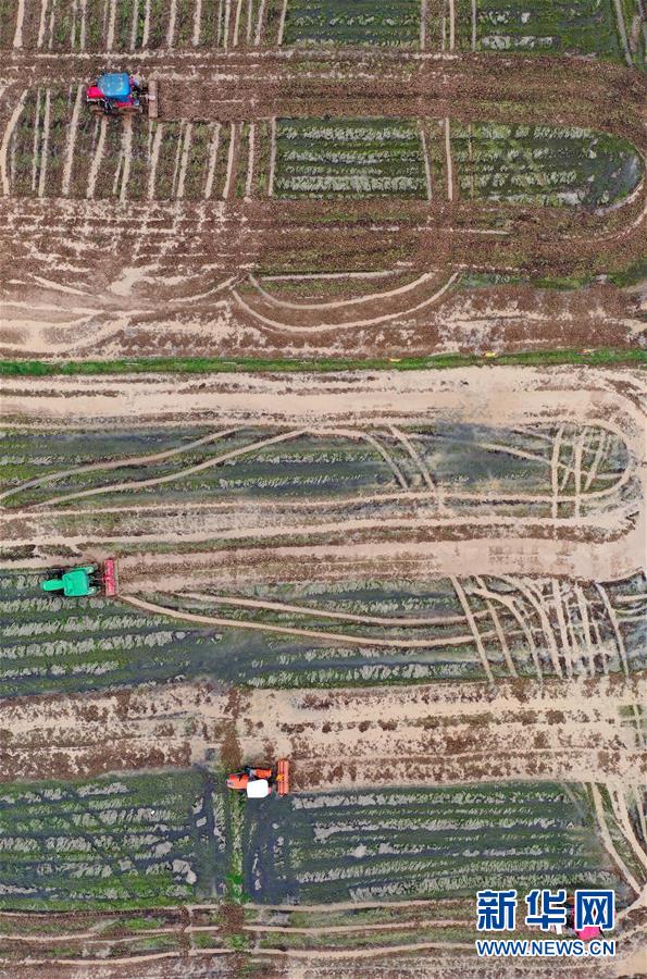 （经济）（7）鄱阳湖之滨 农机助春耕