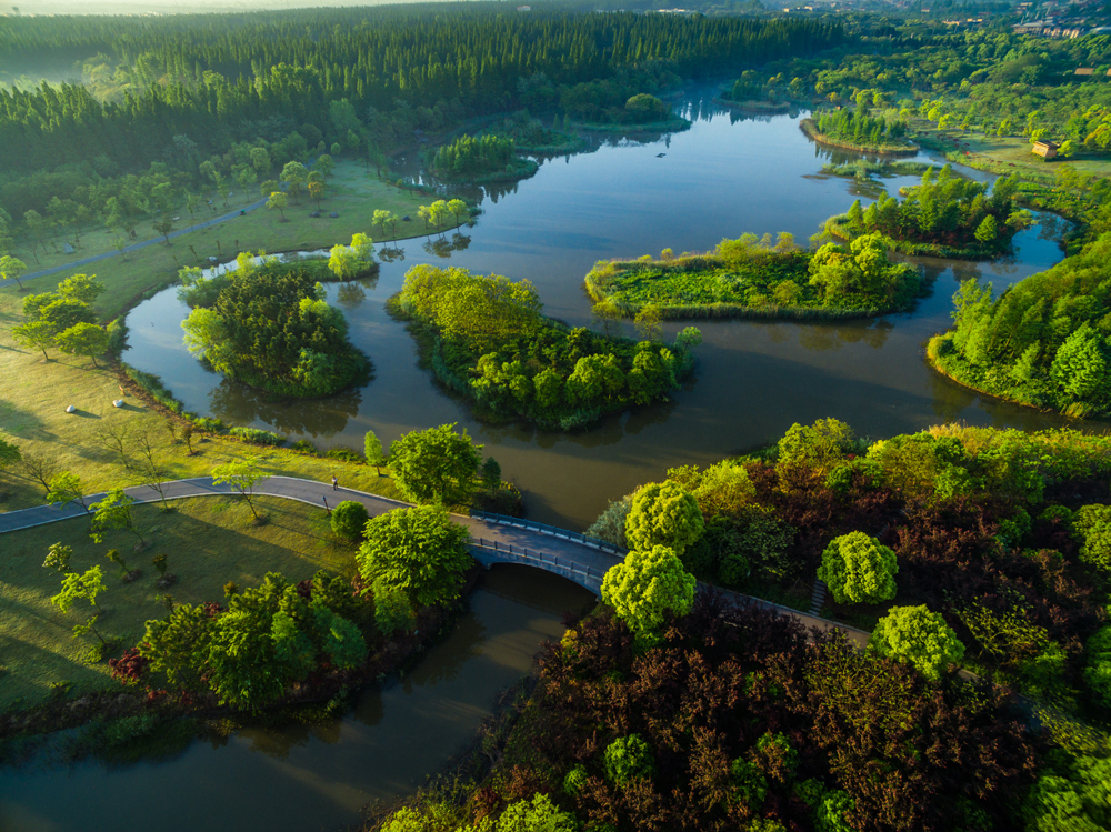 迈向世界级生态岛,上海崇明正在做什么?今年100个重大生态项目!